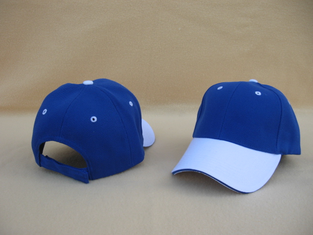 Royal-Blue/White Two-Tone Baseball Caps, Pro Style, DOZEN  display picture 1