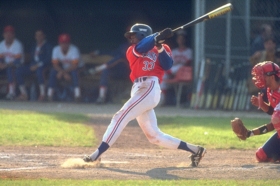 The Baseball Card Shop Online Store Info