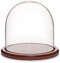 Glass Dome with Walnut Base - 8" x 8" Glass Dome with Walnut Base - 8" x 8"