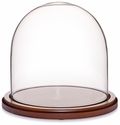 Glass Dome with Walnut Base - 8" x 8"