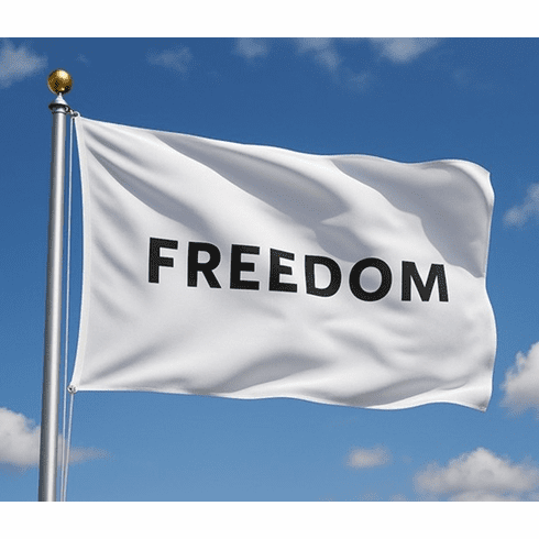 3'X5' Outdoor Nylon Freedom Flag
