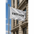 3'X5' Freedom Nylon Flag