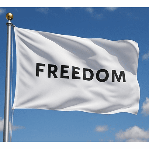 3'X5' Outdoor Nylon Freedom Flag