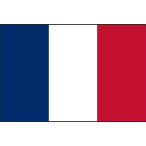 FRANCE 3'X5' Nylon World Flag