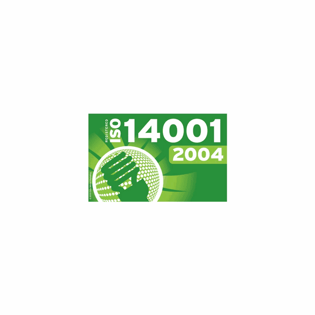 ISO 14001 2004