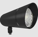 Rec 15' - 35' Flagpoles 48W LED