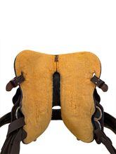 14 Inch Used Circle Y Martha Josey Ultimate Barrel Saddle Medium Tree 1179