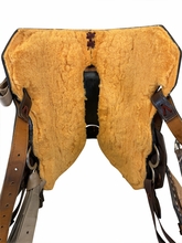 14 Inch Used Circle Y MJ Gold Buckle Cash Barrel Saddle Medium Tree mj60