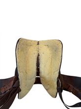 15.5Inch Used Southern RE Show Saddle Wide Tree