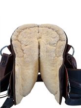 15 Inch Used Circle Y High Horse Daisetta Cordura Trail Saddle Wide Tree 6914