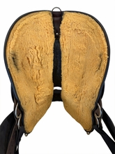 16 Inch Used Circle Y Oasis Arabian Trail Saddle Medium Flex2 Tree 1562
