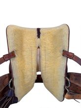 SOLD 2026/03/24j  15 Inch Used Circle Y Trail Saddle Medium Tree