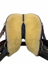 16 Inch Used Circle Y Trail Saddle Medium Tree 2374