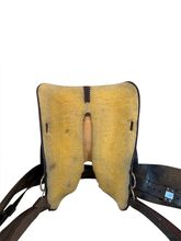 16 Inch Used Circle Y Trail Saddle Medium Tree 3604