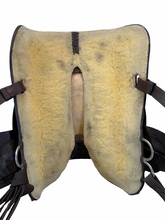 SOLD 2026/09/28 16 Inch Used Circle Y Trail Saddle Medium Tree 3607