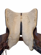 16 Inch Used Premier Show Saddle Wide Tree