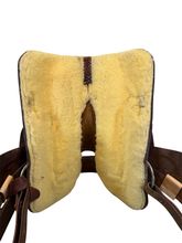 16 Inch Used Star of Texas Trail Saddle Medium Tree