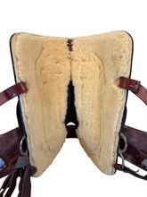 17 Inch Used Big Horn Trail Saddle Medium Tree 950