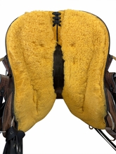 17 Inch Used Dakota Trail Saddle Wide Tree 213