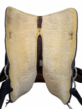 17 Inch Used TexTan Trail Saddle Medium Tree