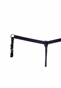 Circle Y 1 1/2in Straight Salt River Border Breast Collar 1667-20-S