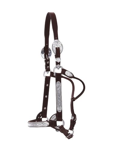 Circle Y Scalloped Black Bead Show Halter 0608-1000