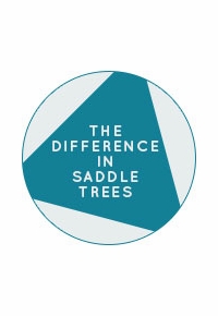 Differences between Saddle Trees