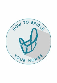 How to Bridle A Horse