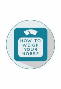 How to measure the weight of your horse 