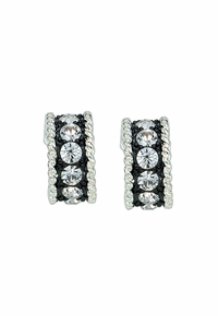 Montana Silversmiths Crystal Shine Small Hoop Earrings ER1032