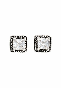 Montana Silversmiths Star Lights Western Princess Earrings ER2554