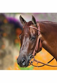 Professional's Choice Bob Avila Double Buckle Headstall with Double Ring Snaffle AVB-133