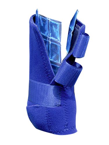 Professional's Choice Reusable Theraputic Ice Cells IC200 Sold in Pairs