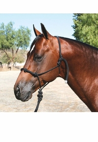 Professional's Choice Roper Halter with 10 foot lead HR CLEARANCE