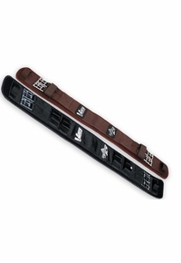 Professional's Choice VenTECH Dressage Girth DGV