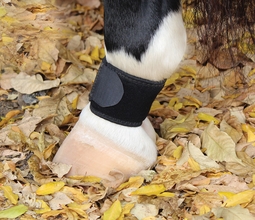 Professional's Choice VenTECH Pastern Wrap VPW