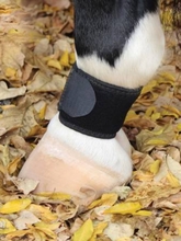 Professional's Choice VenTECH Pastern Wrap VPW