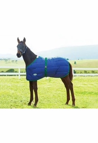 WeatherBeeta 420D Foal Standard Neck Medium 1019323000