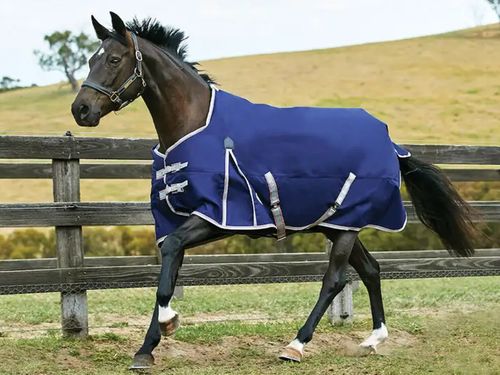 WeatherBeeta ComFiTec Essential Plus Standard Neck Medium 1000417000 ZDS