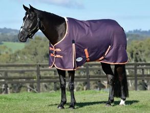 WeatherBeeta ComFiTec Essential Plus Standard Neck Medium 1000417000 ZDS