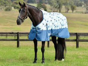 WeatherBeeta ComFiTec Essential Plus Standard Neck Medium 1000417000 ZDS