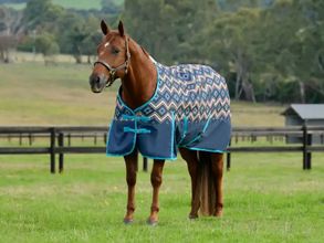 WeatherBeeta ComFiTec Essential Plus Standard Neck Medium 1000417000 ZDS
