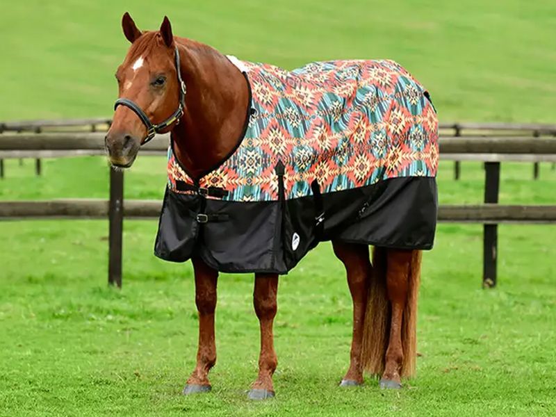 Manta Para Cavalo Weatherbeeta Comfitec Essential - Impermeável E Respirável