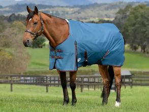 WeatherBeeta ComFiTec Classic Standard Neck Lite Plus 1023990000