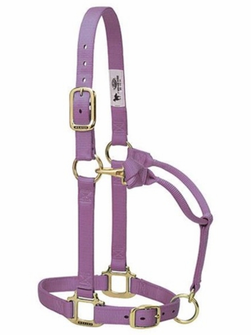 Licol Weaver Violet Non Réglable – Taille Petit Cheval / Poulain 500-800 Lbs – Nylon