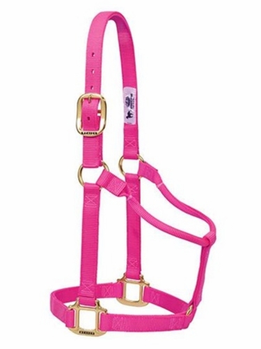 Weaver Original Non-Adjustable Halter