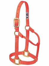 Weaver Original Non-Adjustable Halter