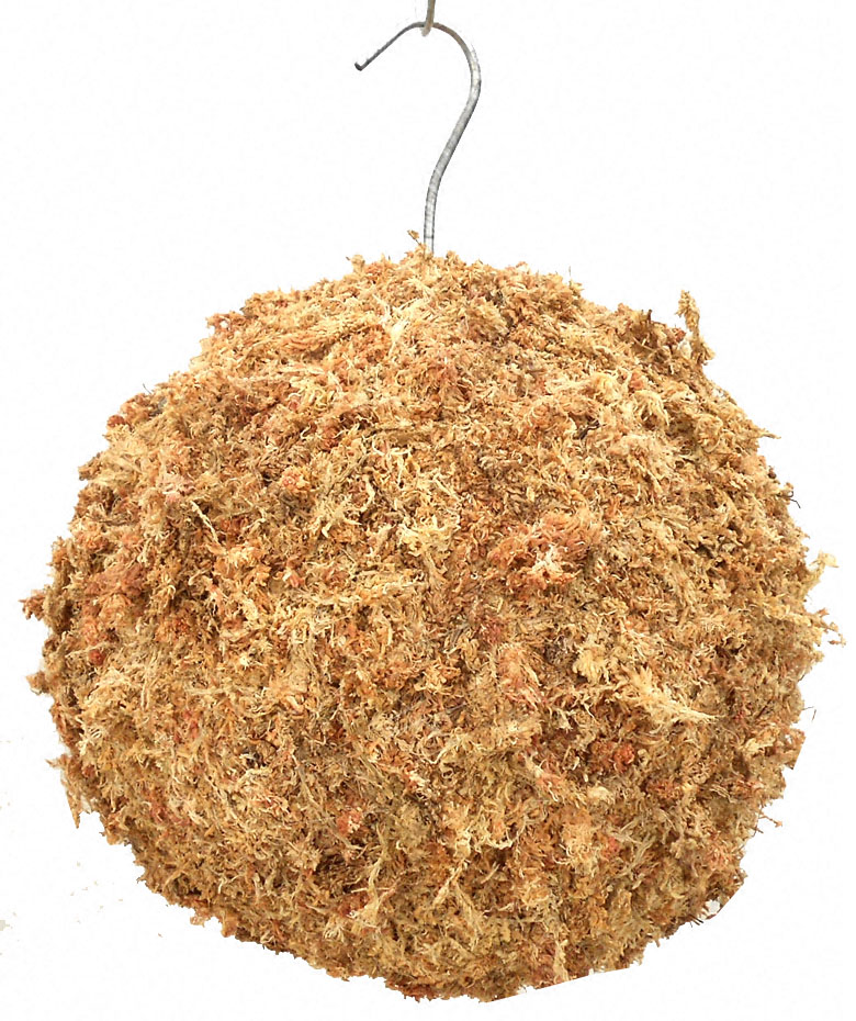 16" Sphagnum moss ball