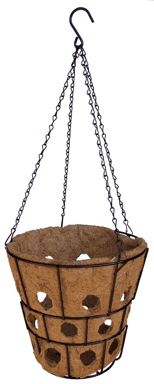 Bloom Big Super Hanging Basket with Chain Hanger 13"