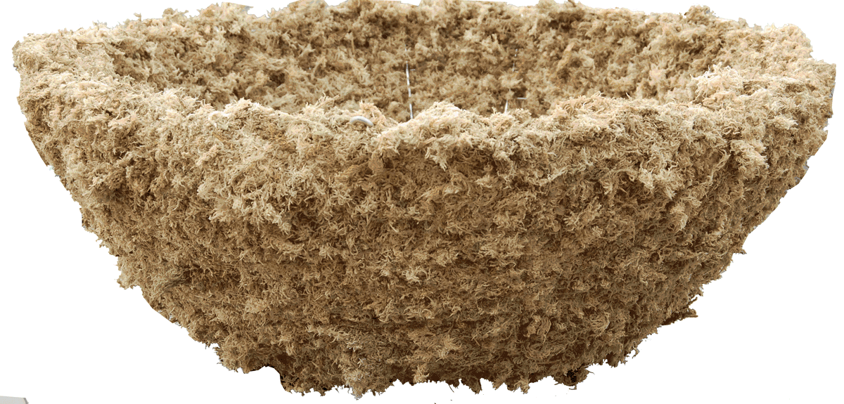 Sphagnum Moss Basket with Chain Hanger 30"